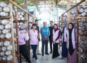 Peduli Lansia, Srikandi PLN Ajarkan Pola Hidup Sehat dan Bentuk Kelompok Budi Daya Jamur