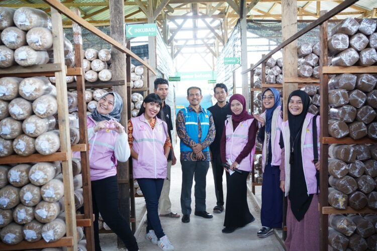 1c219690 3ad3 4881 89e9 a9007ae7a89d