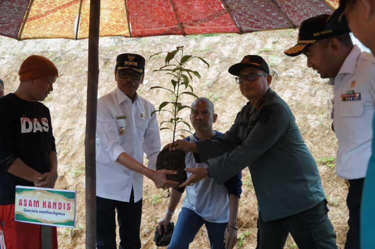 Wagub Bersama Bupati Tanam Pohon di Air Malanca 1 TANAM POHON— Wakil Gubernur Sumbar Audy Joinaldy didampingi dengan Bupati Limapuluh Kota Safaruddin Dt.Bandaro Rajo saat melaksanakan penanaman pohon bersama di Air Malanca, Jorong Landai, Nagari Harau, Rabu, (6/12).