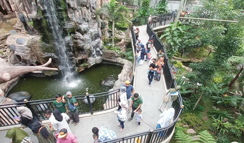 TIDAK DIPUNGUT BIAYA—  Memeriahkan Hari Jadi Kota (HJK) Bukittinggi ke-239, Wali Kota Erman Safar mengintruksikan penggratisan biaya masuk tiga objek wisata berbayar di daerah itu.