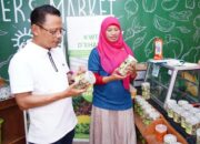 Olah Penampungan Sampah Jadi Smart Farming, Kelompok Wanita Tani Binaan PLN Mampu Hasilkan Ratusan Juta