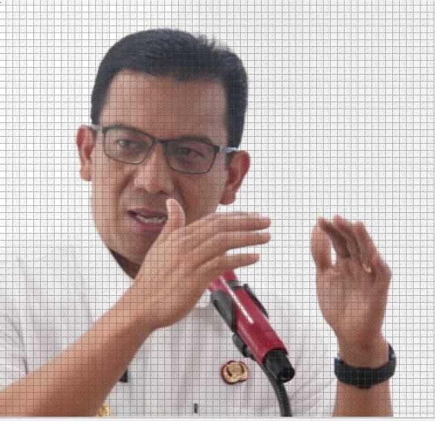Sonny Budaya Putra
(Pj Wako Padang Panjang)