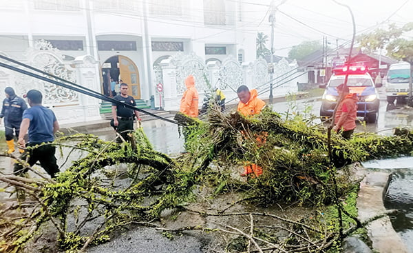 Padang Berpotensi Hujan Ekstrem, Angin Kencang, Petir, BPBD Imbau Warga Waspada 1 EVAKUASI POHON TUMBANG— Hujan lebat disertai angin kencang, menyebabkan pohon tumbang menimpa kabel jaringan listrik di kawasan Lolong Belanti, Kecamatan Padang Utara, Kota Padang, Jumat (5/1) sore. Petugas BPBD langsung melakukan evakuasi material pohon yang ikut menghambat akses jalan.