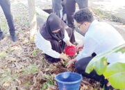 122.983 Anggota KPPS Pemilu 2024 se-Sumbar Resmi Dilantik