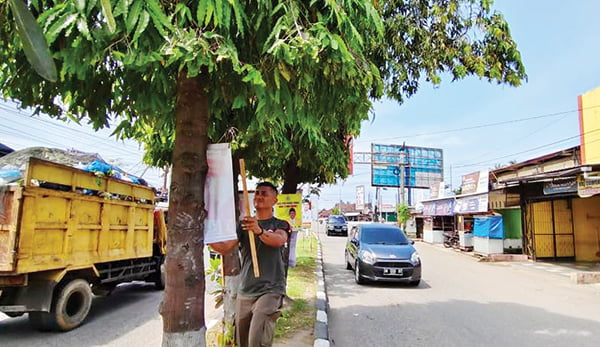PENERTIBAN— Anggota Satpol PP Padang sejak satu bulan terakhir melakukan penertiban terhadap spanduk, poster, serta bermacam jenis iklan yang dipasang di atas fasum dan melanggar  Perda dan Perkada di Kota Padang.