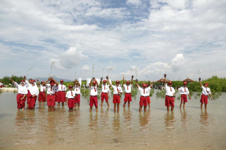 8caf3102 4456 43ad a115 a26bb2657599