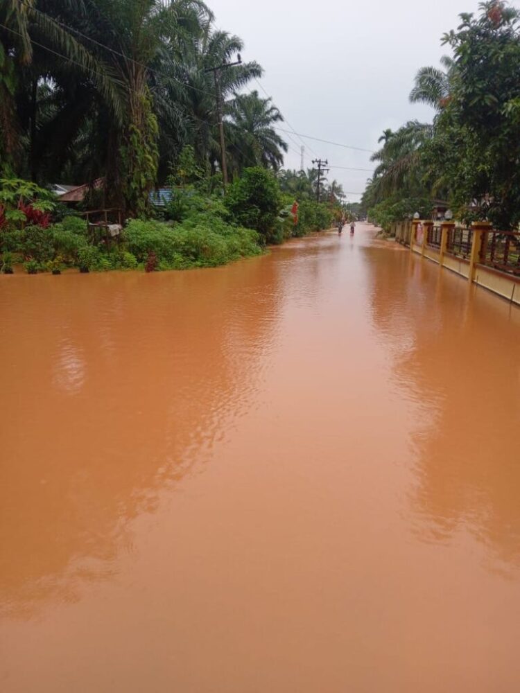 Banjir di Kamang Baru Sijunjung Rendam Dua Jorong 1 GENANGAN BANJIR—Hujan lebat mengakibatkan banjir di Nagari Kunangan Parik Rantang, Kecamatan Kamang Baru, Sijunjung yang merendam dua Jorong, Rabu (3/1) pagi.