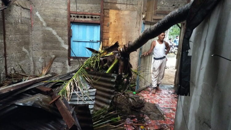 TERIMPA POHON—
Rumah milik Dedi Antoni di Nagari Tanjung Sani, Kecamatan Tanjung Raya mengalami rusak parah usai ditimpa pohon kepala yang tumbang.