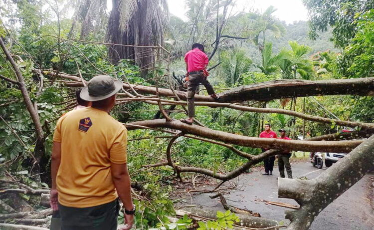 EVAKUASI POHON— Tim Reaksi Cepat dari BPBD Kota Padang melakukan evakuasi dengan memotong setiap dahan dan ranting pohon yang menghambat di Pantai Air Manis Padang, RT 05/RW 10 Kelurahan Mata Air, Kecamatan Padang Selatan, Rabu (3/1) pagi.