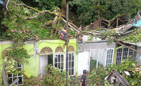 Pohon Sigalabuik Tumbang, 4 Rumah Warga Rusak 1 EVAKUASI POHON— Personel TRC BPBD Kota Padang melakukan evakuasi pohon tumbang yang menimpa sejumlah rumah warga di jalan Palembang Gates RT 002 / RW 002, Kelurahan Gates Nan XX, Kecamatan Lubuk Begalung, Rabu (17/1) siang.