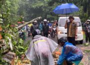 Menuju Kota Padang, Rombongan Pj Wako Zefnihan  Dihadang Pohon Tumbang dan Longsor