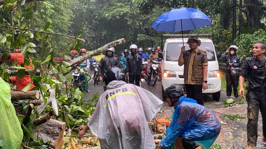 J Walikota Sawahlunto Zefnihan terjebak pohon tumbang dan longsor ketika menuju Kota Padang