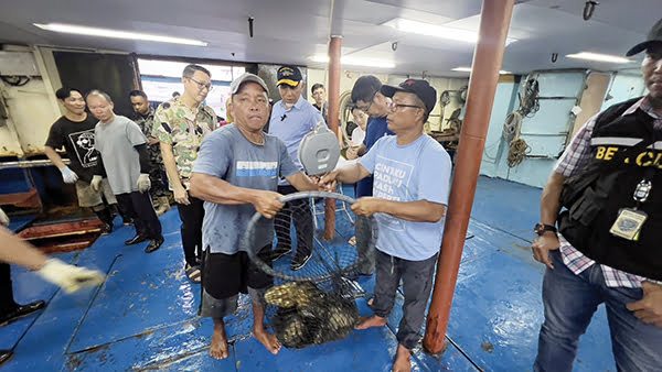 PANEN KERAPU—  Gubernur Sumbar, Mahyeldi Ansharullah, meninjau proses panen ikan kerapu di salah satu keramba pembudidayaan kerapu di kawasan Mandeh, Kabupaten Pessel, Senin (15/1).