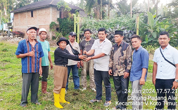 TANAM KALIANDRA MERAH— PT Semen Padang menanam sebanyak 80.000 batang bibit kaliandra merah di Nagari Gunuang Padang Alai, Kecamatan V Koto Timur, Kabupaten Padangpariaman. Hal ini sebagai bentuk komitmen PT Semen Padang untuk mengembangkan Energi Baru Terbarukan (EBT).