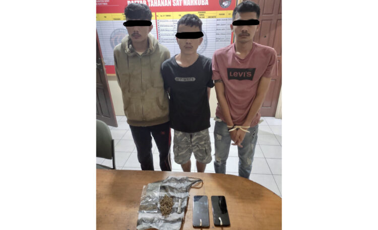 GANJA— Tiga pelaku yang terlibat penyalagunaan narkotika jenis daun ganja kering ditangkap Tim Phantom Polresta Bukittinggi.