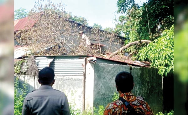 POHON TUMBANG— Hujan lebat dan angin kencang yang melanda sejak Minggu (14/1) malam, membuat pohon tumbang menimpa rumah warga di di RT 04 RW 04 Kelurahan Ranah Parak Rumbio, Kecamatan Padang Selatan, Kota Padang, Senin (15/1) pagi.