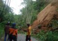 Pohon Tumbang dan Tanah Longsor Landa Agam di awal Tahun