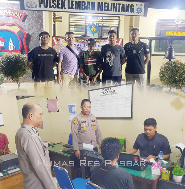 Dua Ninja Sawit Ditangkap 1 NINJA SAWIT— Dua pelaku pencurian buah sawit milik PT Agrowiratama ditangkap jajaran Polsek Kapolsek Lembah Melintang.