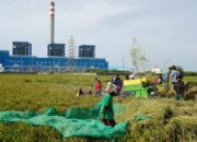 Tingkatkan Tata Kelola, PLN Sukses Turunkan Tingkat Risiko ESG