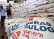Indonesia Hadapi El Nino, Bulog Gelontor 300 Ribu Ton Beras Premium
