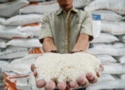 Daerah Sentra Pangan, Agam Kembali Surplus Beras 138.613 Ton Tahun 2023