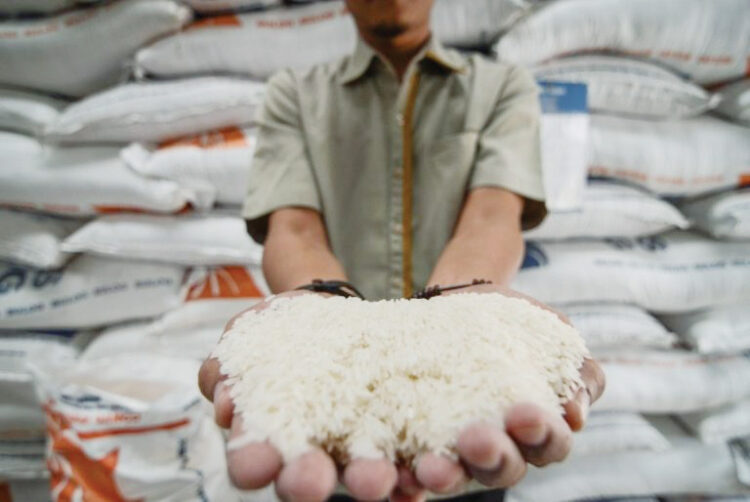 Pemkab Pasbar Pastikan Stok Beras Cukup Jelang Ramadhan 1 Daerah Sentra Pangan