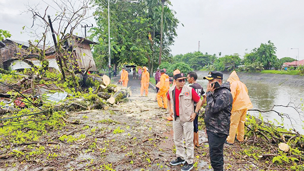 EVAKUASI POHON—Kalaksa BPBD Kota Padang Hendri Zulviton, bersama tim gabungan BPBD melakukan evakuasi dengan memotong pohon yang melintangi jalan, di Jalan Ikhlas Raya Andalas, Kecamatan Padang Timur, Rabu (21/2) pagi. Pohon juga menimpa sebuah pondok dan menghambat arus lalu lintas.