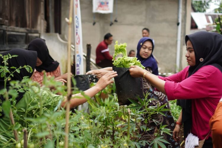Dasawisma Kamboja IV Siap Dinilai TP PKK Sumatera Barat 1 WAKILI SOLSEL— Kelompok Dasawisma Kamboja IV mewakili Solsel, setelah menjadi juara I dalam penilaian Dasawisma Tingkat Kabupaten.