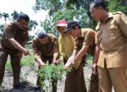 Pemko Dorong Warga Manfaatkan Pekarangan, Harga Cabai dan Sayuran Tinggi