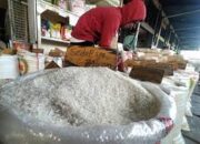 Perpadi Berharap Prabowo-Gibran Genjot Produksi Pangan dan Atasi Masalah Beras