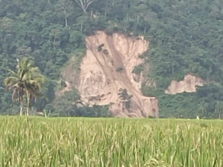 19fd6d31 ccd5 486d 8f6c 3b77738a0d69