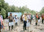 PLN Tanam Ribuan Mangrove, Rehabilitasi Pesisir Tanah Merah dan Menipo di NTT