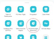 Pesta Hemat dan Ramah Lingkungan, Ini Solusinya dari PLN