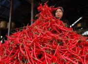 Awal Ramadhan Harga Cabai Masih Rp80 Ribu per Kilogram