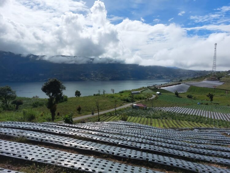 PEMANDANGAN—Terlihat suasana pemandangan di Danau Dibawah Kecamatan Danau Kembar