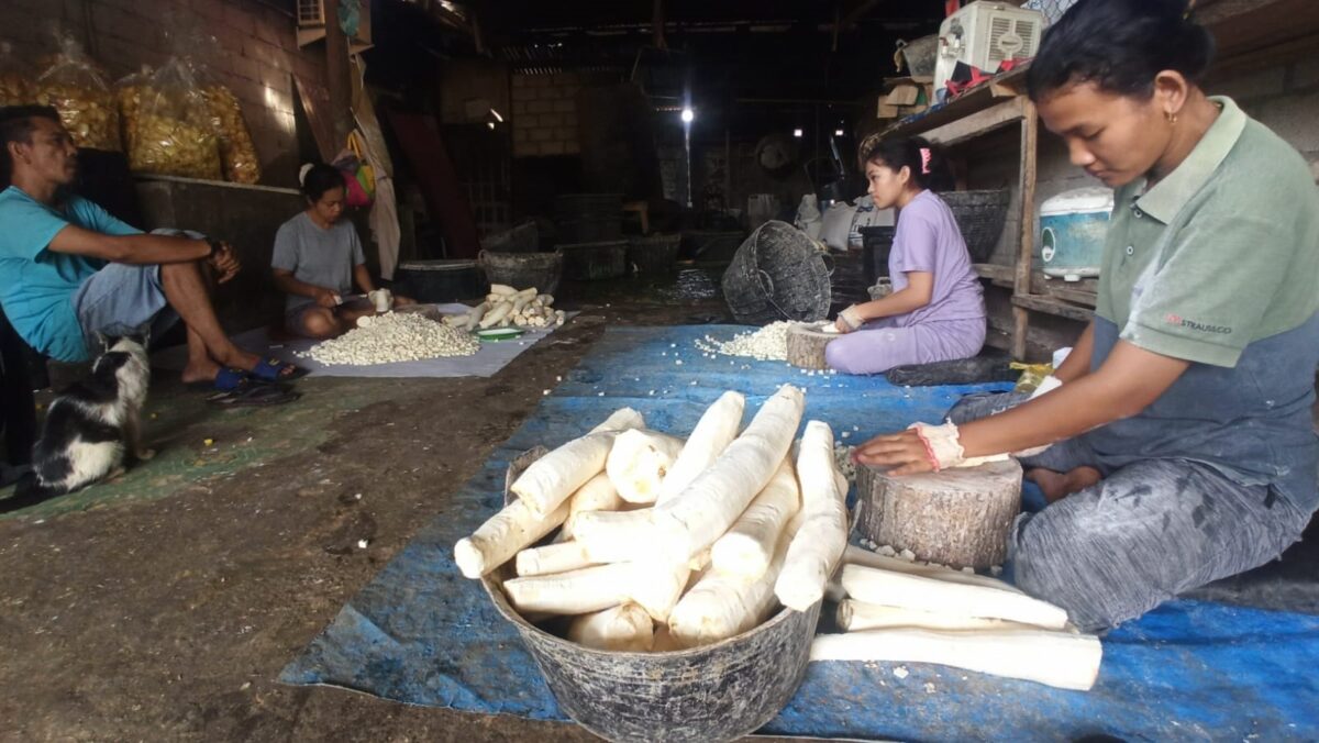 Harga Ubi Kayu Ikut Naik Jelang Puasa Ramadhan