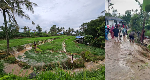 BANJIR BANDANG— Kondisi sawah dan rumah warga yang dihantam banjir bandang di Kecamatan Situjuah Limo Nagari.