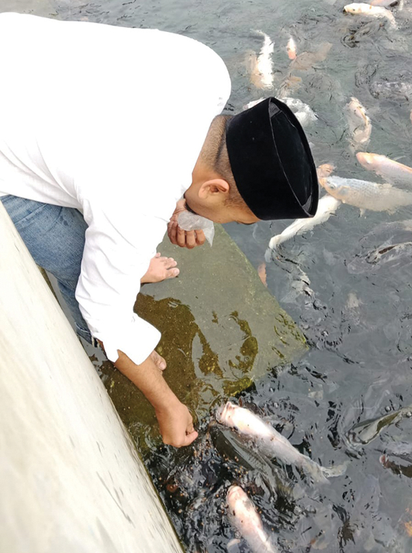 Ikan Sakti Sungai Janiah Memiliki Ciri Khas, Wagub Sumbar Minta Didaftarkan ke ADWI 1 BERI MAKAN IKAN— Wagub Sumbar Audy Joinaldi, saat mencoba memberi makan ikan yang berada di Sungai Janiah Nagari Tabek Panjang, Kecamatan Baso, Kabupaten Agam, Sabtu (16/3).