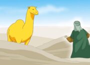 Nabi Saleh As, Mukjizat Unta Betina Lahir dari Batu