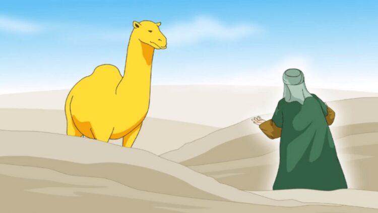 Nabi Saleh As, Mukjizat Unta Betina Lahir dari Batu 1 Keteladanan Nabi Shaleh Allah Itu Nyata dan Menepati Janji