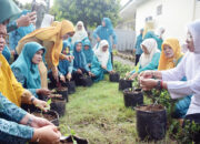 Peringati HKG ke-52, TP PKK Agam Ikuti Gerakan Menanam Cabai Serentak