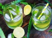 Agar Puasa Ramadhan Tetap Nikmat dan Aman, Tiga Rekomendasi Minuman Segar yang Cocok Bagi Penderita Kolesterol