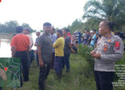 Pencari Lokan Hilang Diterkam Buaya, Korban Sempat Menjerit Minta Tolong