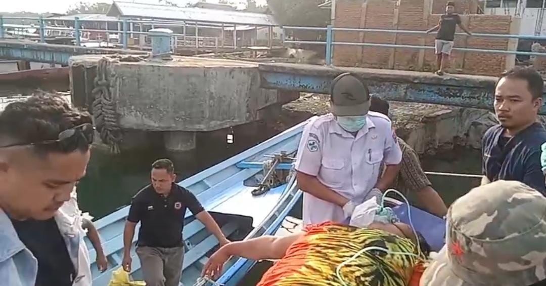 WhatsApp Image 2024 03 18 at 15.25.21