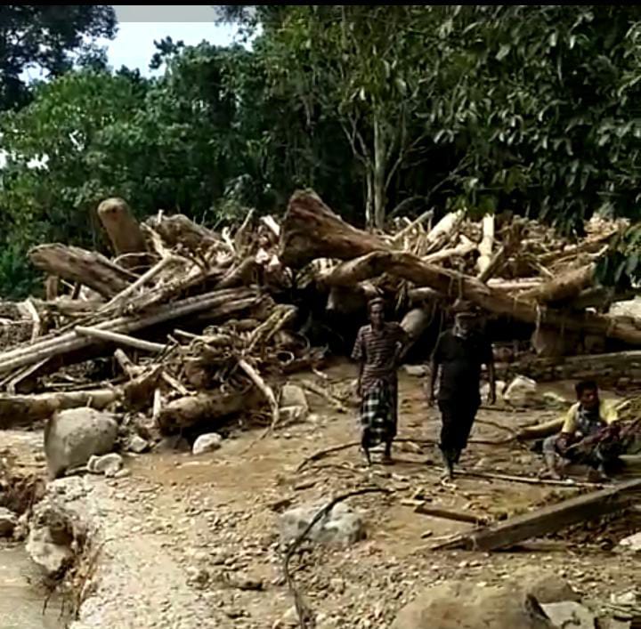 Hendriko, Kayu Terseret Banjir di Pessel Diduga Hasil Penebangan Liar 1 c537fe80 9bb5 4380 976e 99a5e61a9ddc