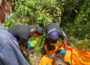 Diduga Korban Kekerasan, Warga Temukan Mayat Penuh Luka di Semak-semak