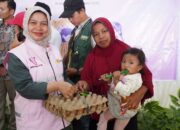 Kiprah Srikandi PLN UID Sumbar, Diterjang Ombak Demi Listriki Pulau Terluar