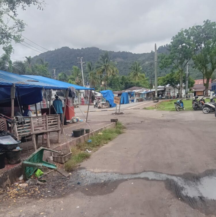 Tumbuh Subur Bangunan PKL di Taman Spora Painan 1 9109e753 f5e0 45b5 a5c3 fedb61b88ea5