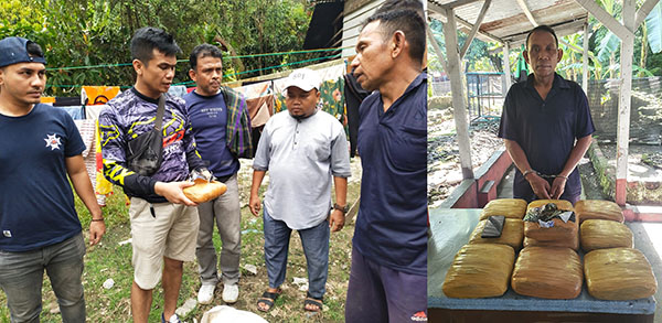 Parah! Petani jadi Pengedar Ganja, 10 Paket Besar Disita Ditresnarkoba Polda Sumbar 1 PENGEDAR GANJA— Pelaku KB (45) ditangkap Tim Ditresnarkoba Polda Sumbar dengan barang bukti 10 Kg ganja.