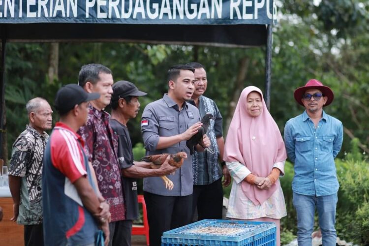BIBIT AYAM—Dinas Pertanian Provinsi Sumatera Barat untuk Tahun 2024 berikan bantuan bibit ayam petelur pada 11 Kepada Kelompok Tani se Kota Solok.